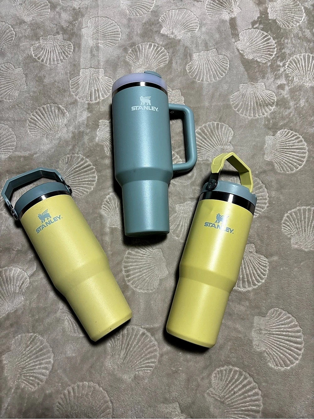 Stanley Quencher H2.0 FlowState Tumbler & IceFlow Bottle Bundle